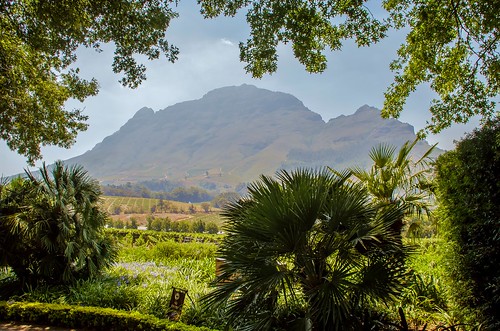 delairegraffestate stellenbosch southafrica