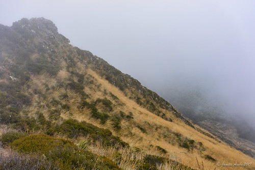 arthurrange kahuranginationalpark nz newzealand southisland tasmannz atmospheric clouds cloudy fog hike hiking mist misty moody tramp tramping johnreidhut