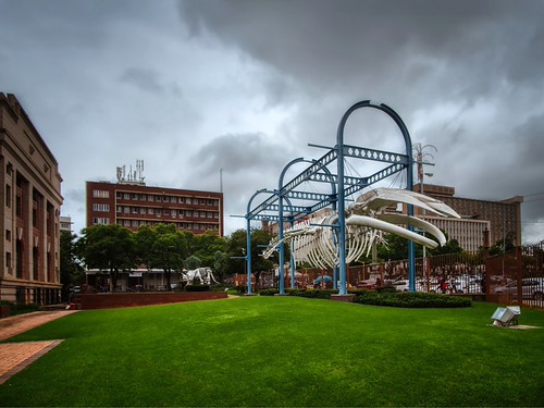 South African City