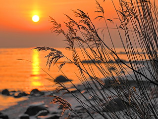 Sunrise at Moesgaard beach