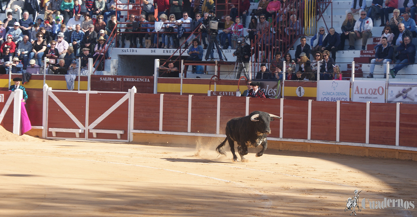 14042019-VII-corrida-benefica-de-toros-celebrada-en-tomelloso-28
