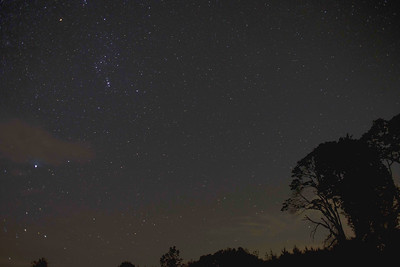 photo of night sky with stars