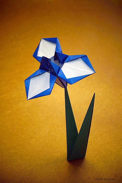Origami Iris (Jun Maekawa)