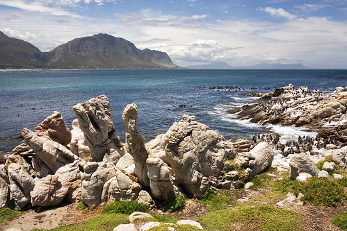 südafrika southafrica bettysbay penguins dassie pinguin klippschliefer landscape landschaft sky rocks felsen himmel ngc npc