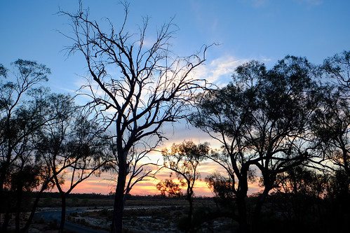 australia silhouette trees sun sunset colourful sky clouds mildura gumtrees outback