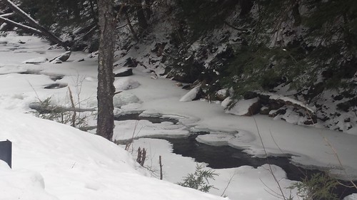 dalton snow winterscene winter river ice pinetrees firtrees
