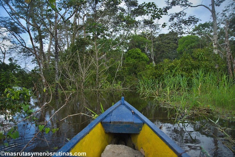 Leticia y la Amazonía colombiana - Palmeando por COLOMBIA (8)