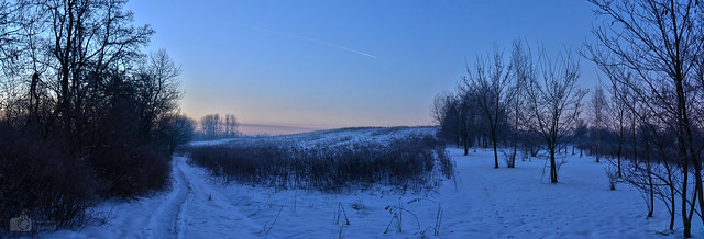 Winter morning panorama
