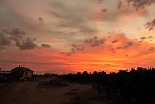 sunset sunraysia rural life landscape farm farming canon eos 1200d