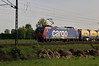 482 026-2 [ba] SBB Cargo zwischen M-Friedrichsfeld und Ladenburg