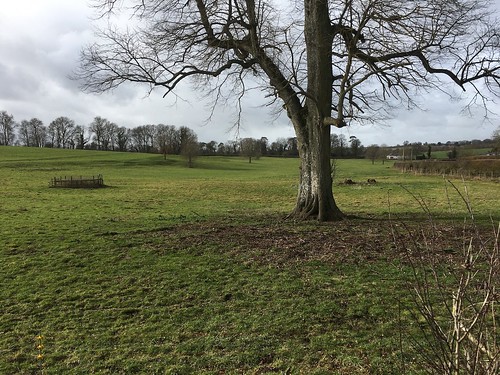 Site of the house Jane Austen grew up in Overton Circular walk