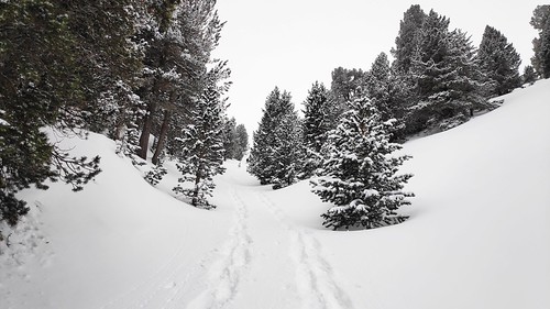 IMG_20190202_142740