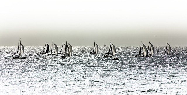 Plaisirs de bord de mer (8) Sardinha Cup  (4),au large de St Gilles Croix de Vie, Vendée F.Contre jour sur la  1ère manche de cette nouvelle course sur le nouveau Figaro 3