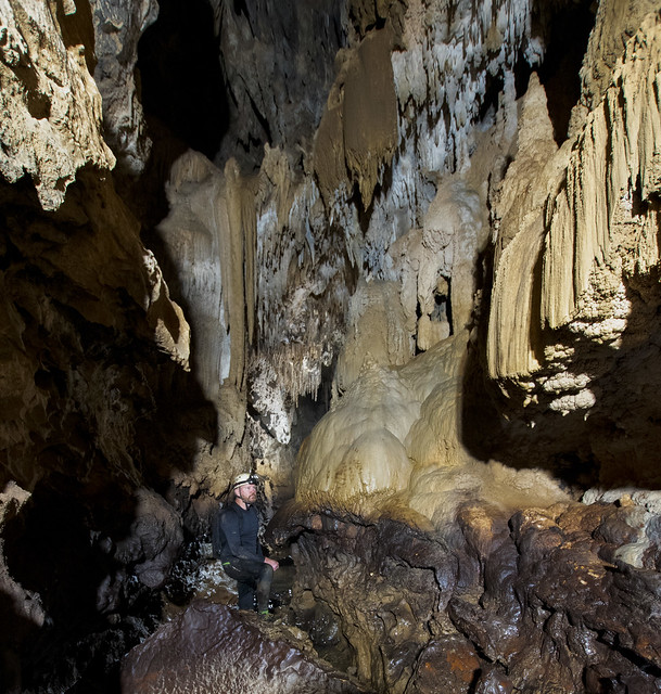 Cueva Sardine