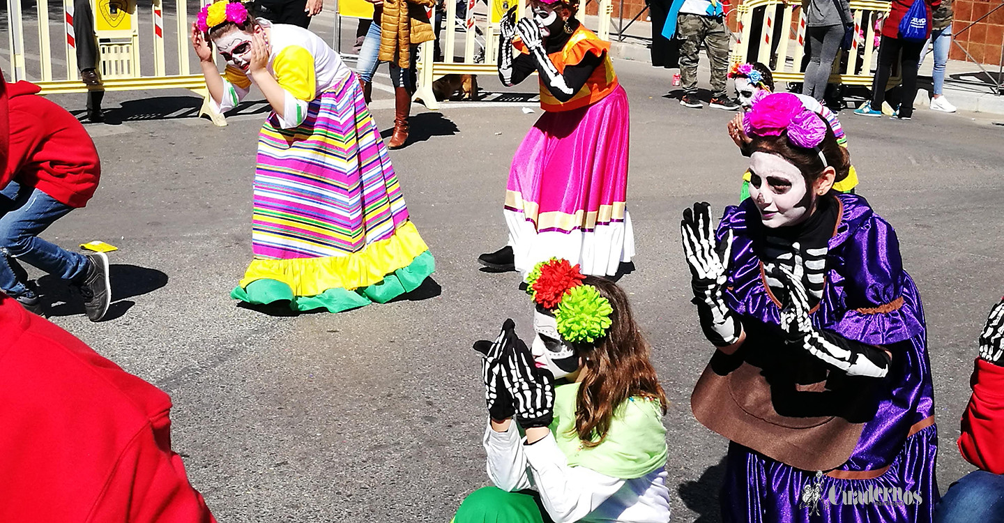 Carnaval-Tomelloso-2019-Desfile-Colegios (352) copia