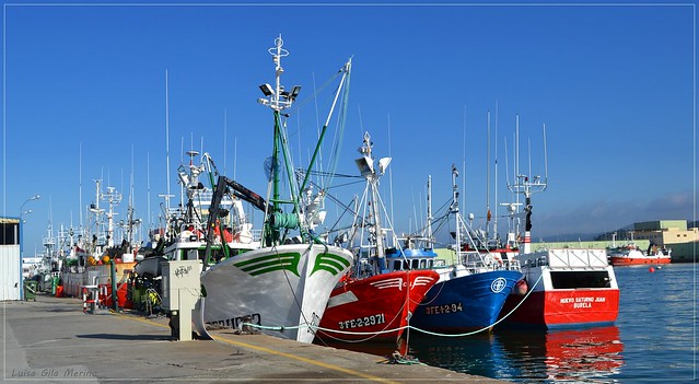 Puerto pesquero
