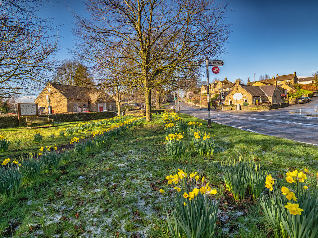 Baslow, Derbyshire Peak District | Daffodils beginning to bl… | Flickr