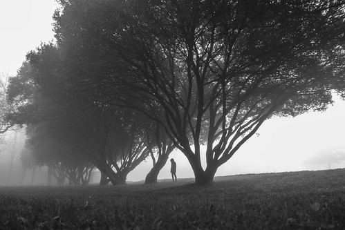 brouillard brume fog mist trees tree person noir et blanc black white landscape portrait foggy mysterious canon people park winter grass