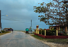 Homes of Isabela's residents in front of the sea. All these houses have a family restaurant in the water line.