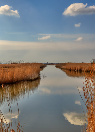 norfolk akindofsymmetry water waterway reeds clouds distantmill eos6d ef24105mmf4lisusm colin47 march 2019 landscape