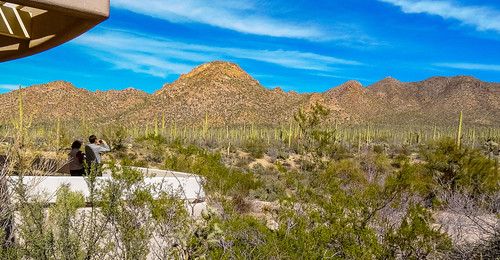 saguaronationalpark park nationalpark cactus desert redhills visitorcenter redhillsvisitorcenter tucson arizona tucsonarizona sky outdoor outdoors mountain saguaro saguaros people landscape balcony