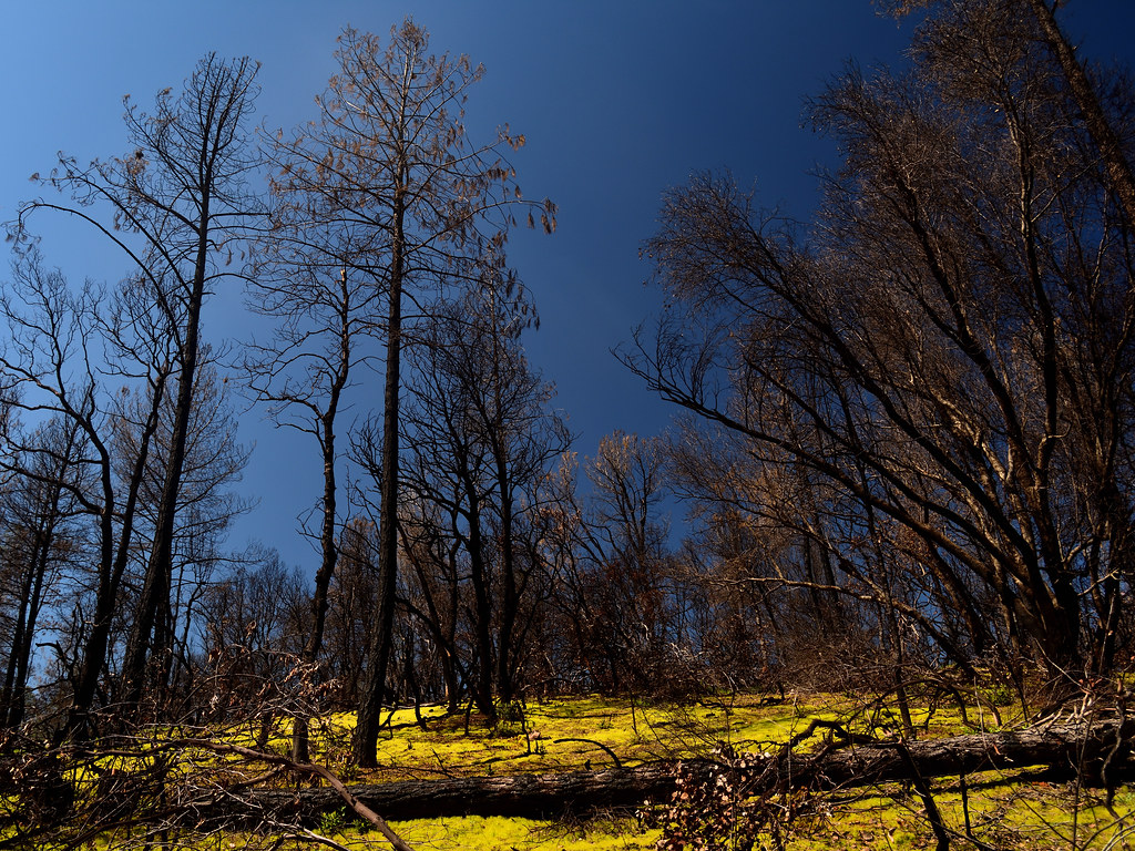 Mary Lake Ditch Trail