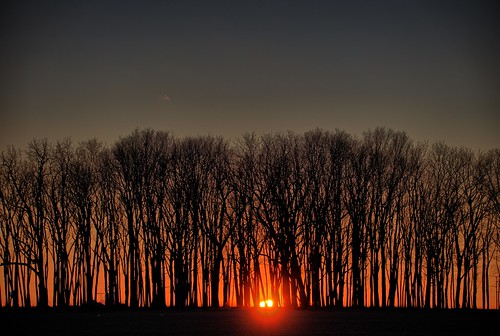 sidney illinois sunset trees