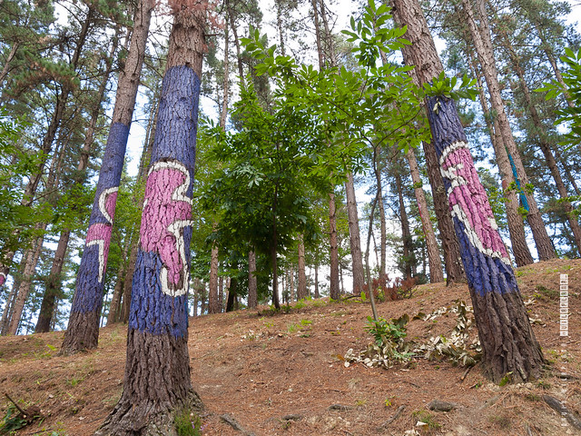 Bosque pintado de Oma