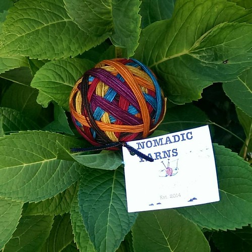 Look at this lovely blossom: @nomadicyarns Trusty Sock in colorway "Rhinebeck Sweater Weather." Makes me wish I was going next month and seeing all my good friends again. #yarn #crochetersofinstagram #crochet #nomadicyarns #yarnporn | by figpox