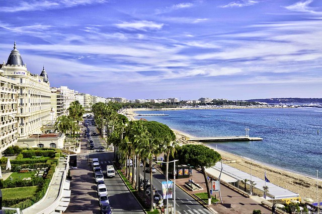 La Croisette à Cannes, Côte d'Azur France 1L8A1135