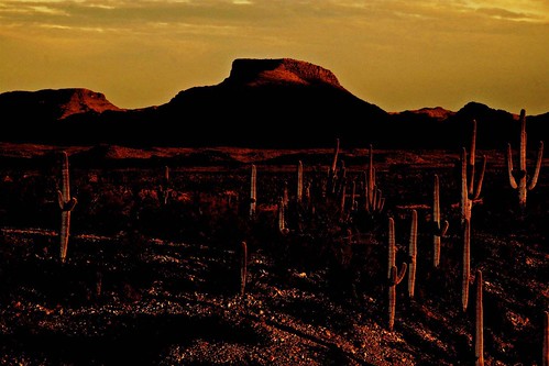 2016 arizona art cacti colorphotomanipulation desert flickr gps landscapes mountains pinalcounty saguarocactuscarnegieagigantea sanpedrorivervalley usa unitedstatesofamerica