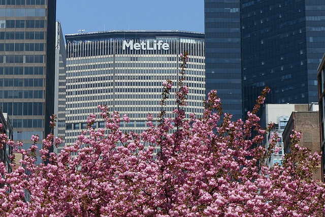 MetLife Building inTurtle Bay of Manhattan in New York City, NY