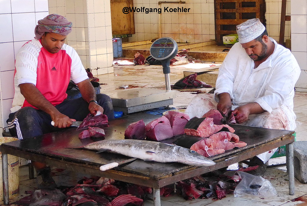 Preparing fish for sale:- Oman