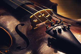 Details of an old Violin | by dejankrsmanovic