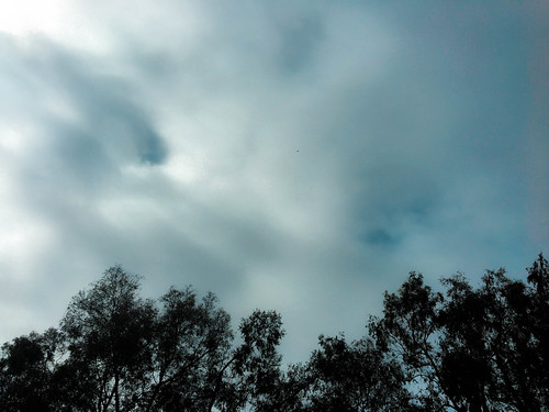 kellys_Simplicity_010 | by smelly102