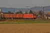 145 050-1 [aa] zwischen Ladenburg u. M.-Friedrichsfeld