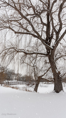 Phalen-Keller Regional Park