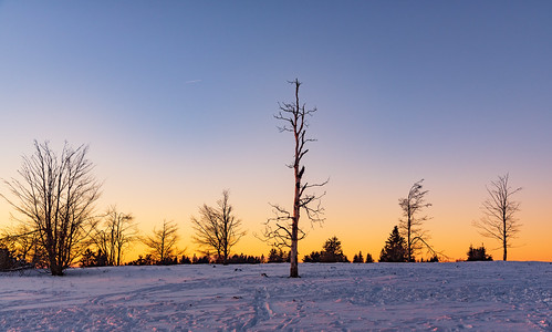 Kahler Asten by languitar, seasons tree nature kahlerasten germany sunset colorefex4 snow winter winterberg colorefex deutschla