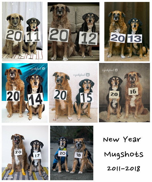 New Year Mugshots 2011 - 2018