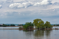Volga River 168