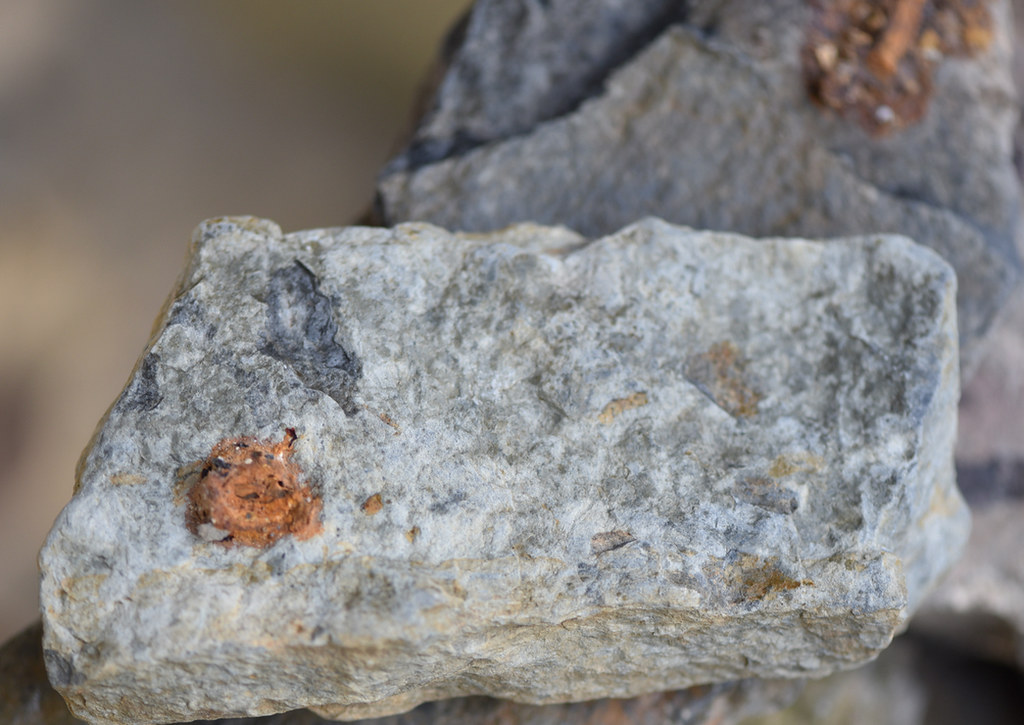 Shellstone Staining DSC_5360 | The two pigment applications on this stone would … | Flickr
