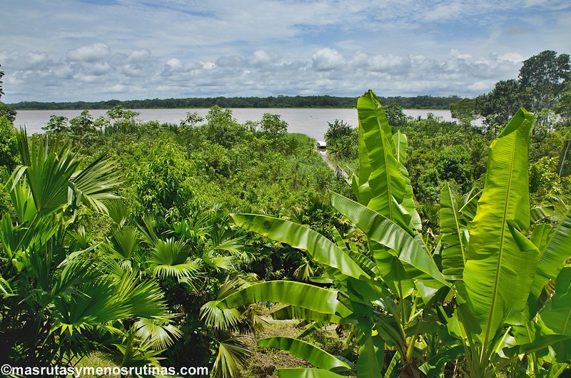 Leticia y la Amazonía colombiana - Palmeando por COLOMBIA (6)