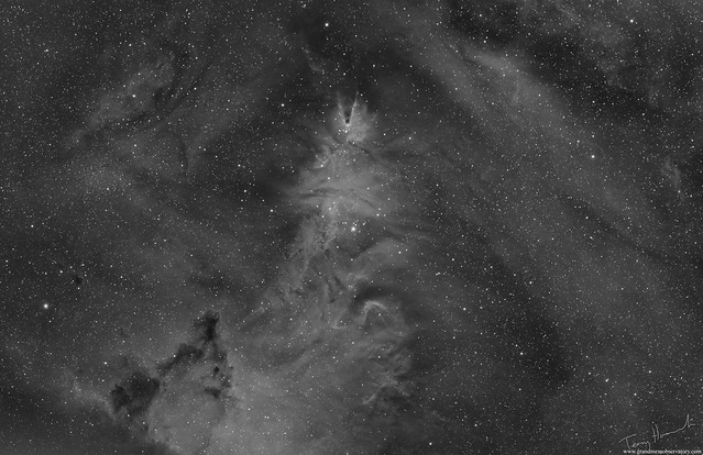 Christmas Tree, Cone and Fox Fur NGC 2264 (H-Alpha Version)