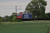 482 039-5 [aa] SBB Cargo zwischen Ladenburg und M-Friedrichsfeld