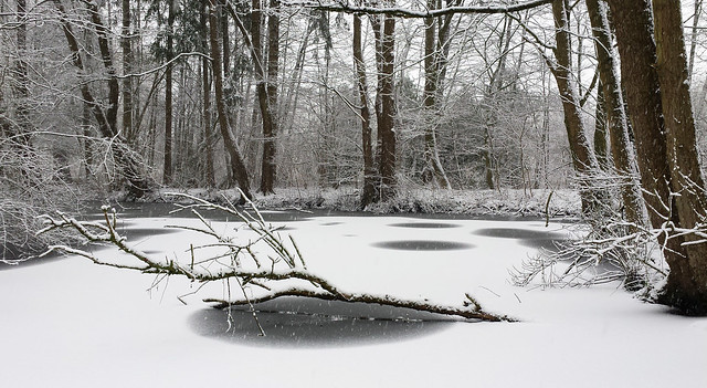 snowfall - frozen moat