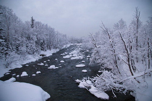 winter river forest