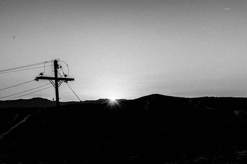 desert bush sunset terrian black white photography landscape