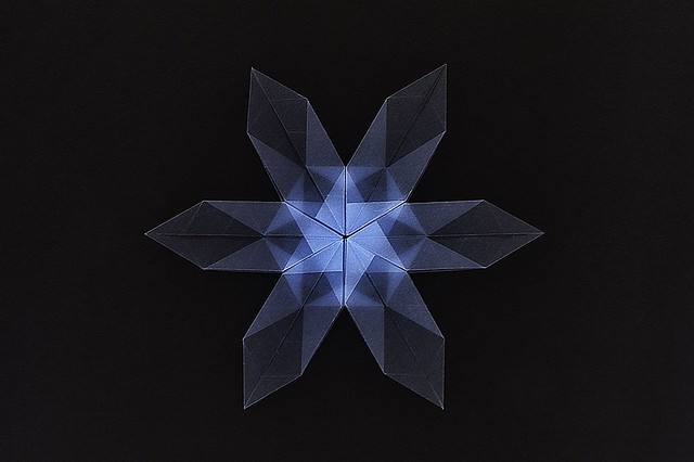 Origami Snowflake (Frances LeVangia)