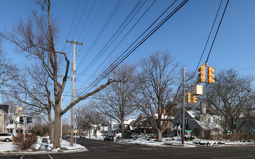 2018 sunnystreetscape intersection overheadpowerlines electricpoles street m43 severelyprunedtree streettrees midmichigan trafficsignals michiganhighwaym43 utilitypoles cloudlesssky severepruning capitolavenue winter electriclines extremelyprunedtree trafficlights urbantrees november2018 capitalregion citytrees signalizedintersection highwaym43 sunny extremepruning lansing snow trees northcapitolavenue powerlinerightofwaypruning extremelypruned telephonepoles severelypruned pruned inghamcounty ornamentaltrees trafficsignalsdanglingfromwires westoaklandavenue interstate69businessloop inghamcountymichigan img2586 michigan i69businessloop streetintersection pruning intersectionlandscape treepruning snowystreetscape powerlines oaklandandcapitol november stoplights overheadelectriclines powerlinerightofway centralmichigan capitolandoakland winterstreetscape prunedtree routem43 lansingmichigan southcentralmichigan 20181130 streetscape oaklandavenue