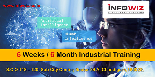 Six months weeks industrial training | by wizinfochd